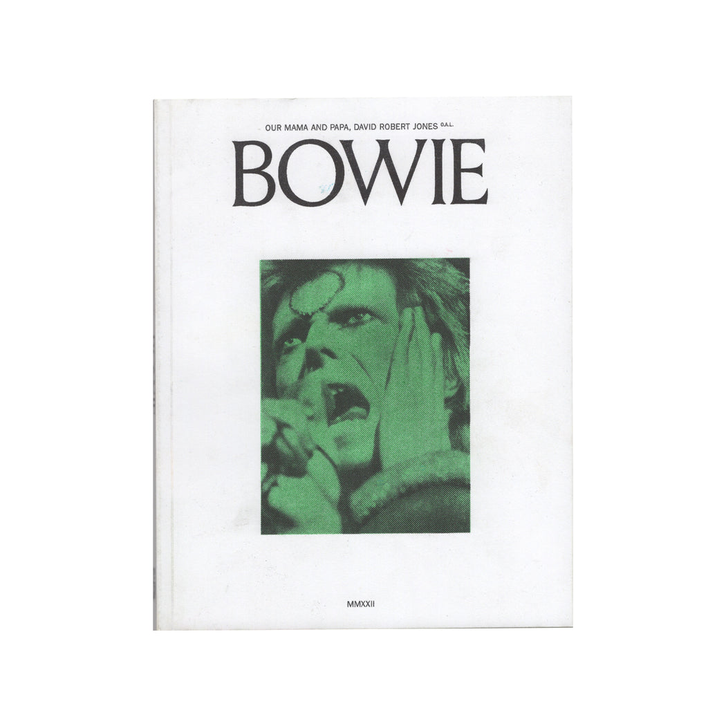 Bowie Book by Lee Noble