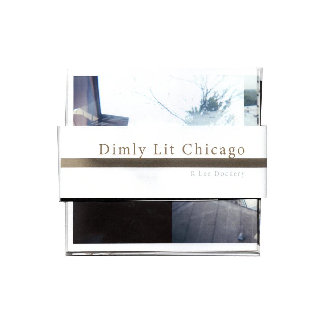 Dimly Lit Chicago by R. Lee Dockery