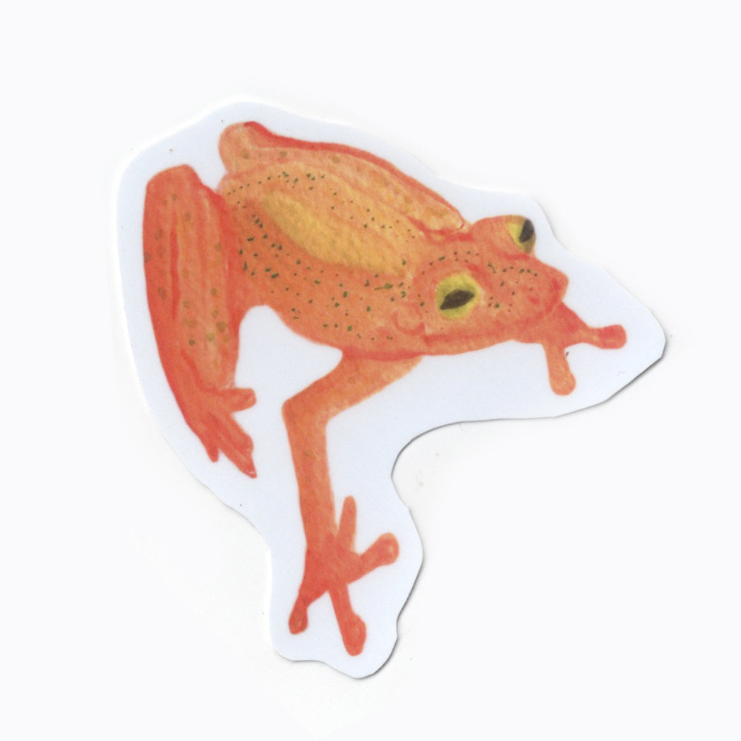 Watercolor Frog Stickers