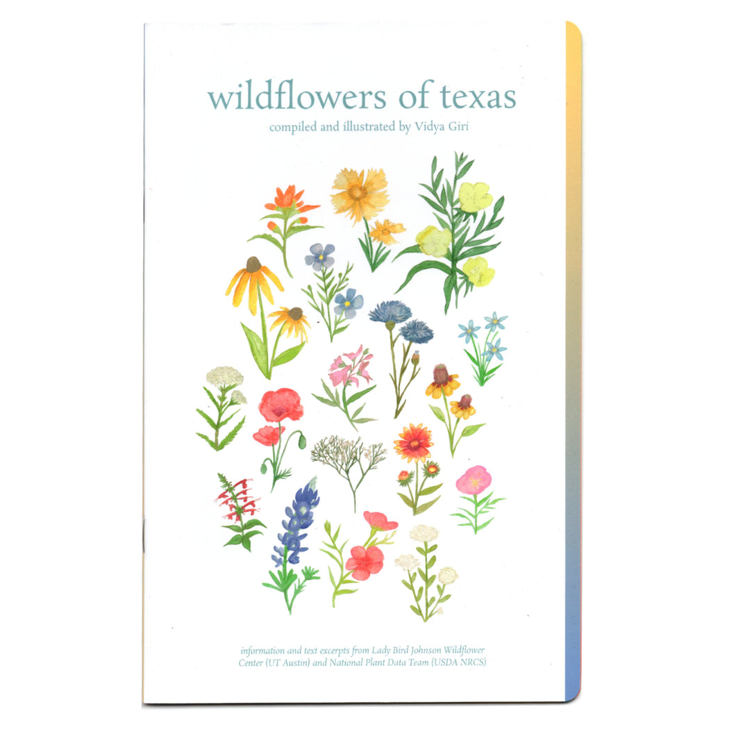 Wildflowers of Texas Zine